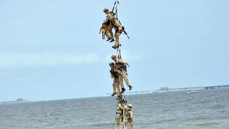 Illustration for article titled 26 Awesome Photos of War Dogs Showing How Badass and Cute They Can Be